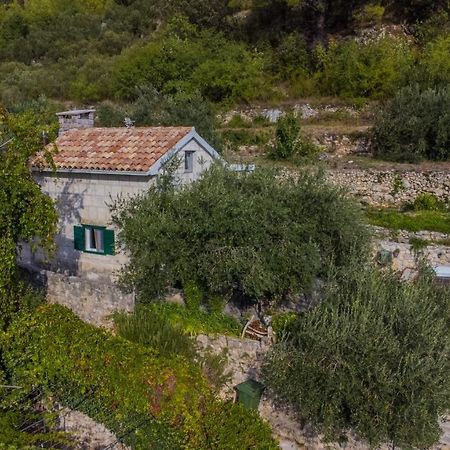 Willa House For Rent Didova Kuca Makarska Zewnętrze zdjęcie