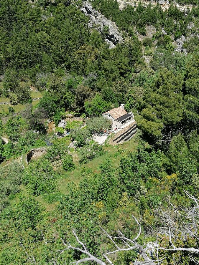 Willa House For Rent Didova Kuca Makarska Zewnętrze zdjęcie