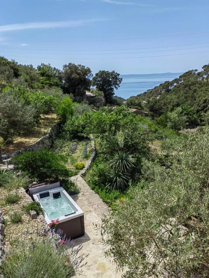 Willa House For Rent Didova Kuca Makarska Zewnętrze zdjęcie