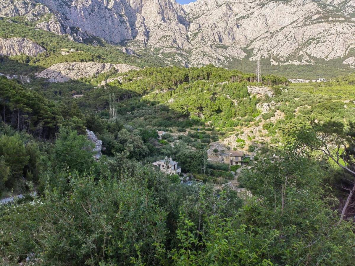 Willa House For Rent Didova Kuca Makarska Zewnętrze zdjęcie