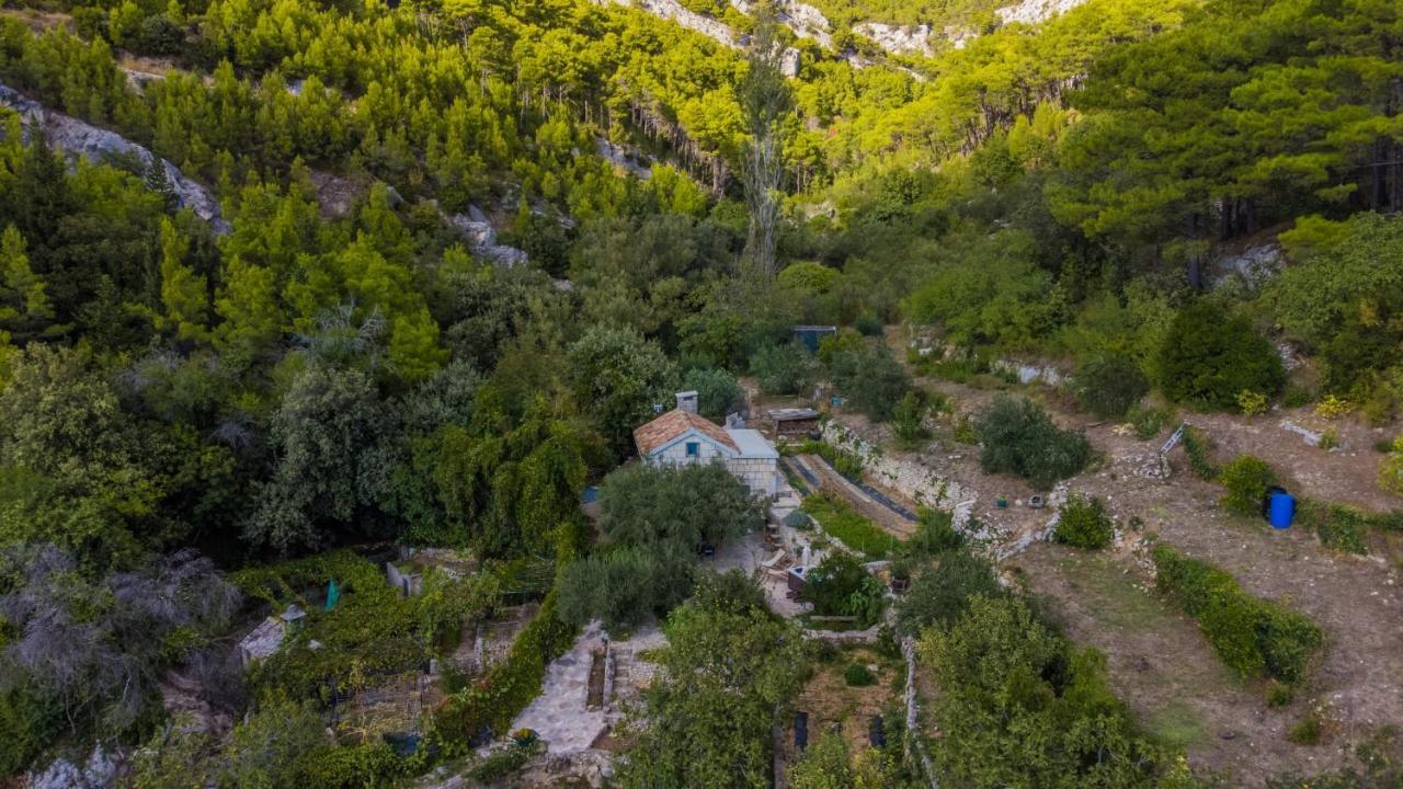 Willa House For Rent Didova Kuca Makarska Zewnętrze zdjęcie