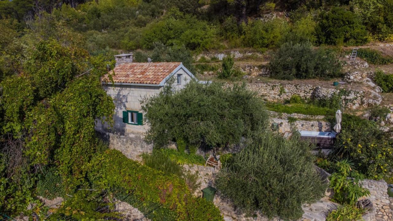 Willa House For Rent Didova Kuca Makarska Zewnętrze zdjęcie