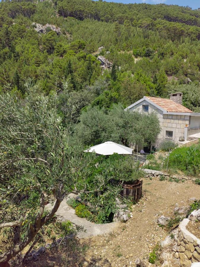 Willa House For Rent Didova Kuca Makarska Zewnętrze zdjęcie